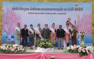ເປີດທ່ຽວຊົມດອກຄາຍປ່າ ທີ່ເມືອງຊໍາເໜືອ ປະຈໍາປີ 2025
