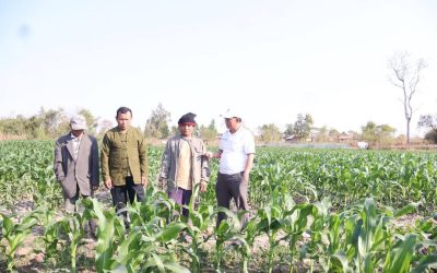 ຊາວກະສິກອນ ປະສົບບັນຫານໍ້າຮັບໃຊ້ບໍ່ພຽງພໍໃນການຜະລິດລະດູແລ້ງ