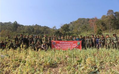ທຳລາຍສວນຝິ່່ນ 27 ເຮັດຕາ ຢູ່ເມືອງປາກທາ