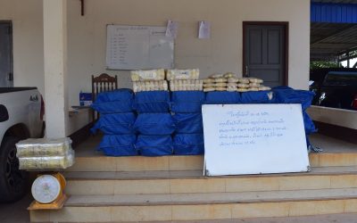 ຢຶດຢາບ້າ 22 ເປົາ, ນ້ຳໜັກ 528 ກິໂລກຣາມ ຢູ່ເມືອງຫ້ວຍຊາຍ