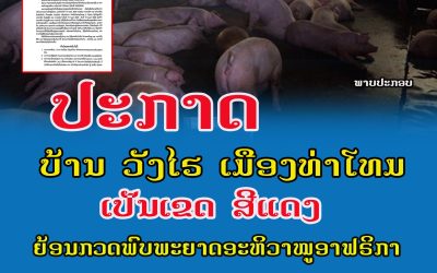 ກວດພົບ ພະຍາດອະຫິວາໝູອາຟຣິກາ ຢູ່ບ້ານ ບ້ານວັງໄຮ ເມືອງທ່າໂທມ