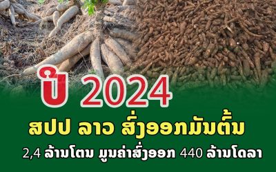 ປີ 2024 ສປປ ລາວ ສົ່ງອອກມັນຕົ້ນ 2,4 ລ້ານໂຕນ
