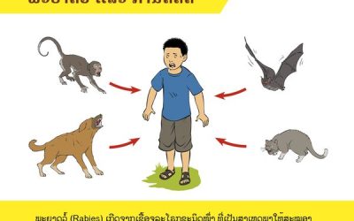 ປັດຈຸບັນ ຢູ່ປະເທດເຮົາມີຜູ້ເສຍຊີວິດຈາກພະຍາດວໍ້ປະມານ 2 ຄົນຕໍ່ມື້ ແລະ ມີລາຍງານຜູ້ທີ່ຖືກໜາກັດປະມານ 100 ຄົນຕໍ່ມື້