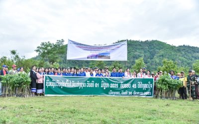 ເມືອງຄອບຈັດພິທີປູກຕົ້ນໄມ້, ວັນສິ່ງແວດລ້ອມແຫ່ງຊາດ ແລະ ວັນສິ່ງແວດລ້ອມໂລກ