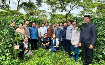 ແຂວງສາລະວັນ ຊຸກຍູ້ຄອບຄົວຕົວແບບການປູກກາເຟເປັນສິນຄ້າ