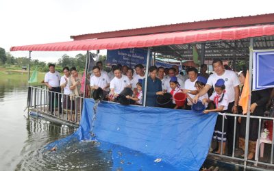 ນາຊາຍທອງ ປ່ອຍປາ ລົງສູ່ແຫຼ່ງນໍ້າທຳມະຊາດຫຼາຍແສນໂຕ
