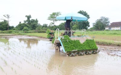 ການຜະລິດກະສິກຳ ດ້ວຍເຄື່ອງກົນຈັກ ເປັນທາງເລືອກໃໝ່ຂອງຊາວກະສິກອນ
