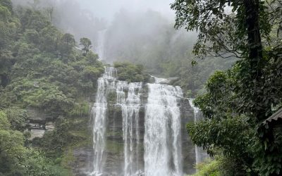 ພຽງ 3 ເດືອນມີນັກທ່ອງທ່ຽວເຂົ້າມາທ່ຽວ ບ້ານໜອງຫລວງ 3 ພັນກວ່າຄົນ