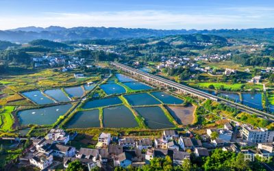 ຍຸດ​ທະ​ສາດ​ການພັດ​ທະ​ນາ​ຊົນ​ນະ​ບົດ​ໃຫ້​ຈະ​ເລີນ​ຮຸ່ງ​ເຮືອງ​ຂອງ​ຈີນຈະ​ເປັນ​ບົດ​ຮຽນທີ່​ເປັນ​ປະ​ໂຫຍດ​ໃຫ້​ແກ່​ປະ​ເທດ​ກຳ​ລັງ​ພັດ​ທະ​ນາ​